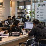 Servicios y Profesionales